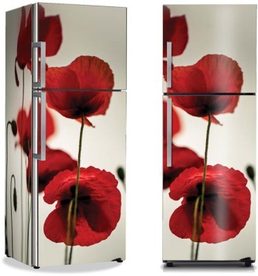 Κόκκινη Παπαρούνα, Φύση, Αυτοκόλλητα ψυγείου, 50 x 85 εκ.