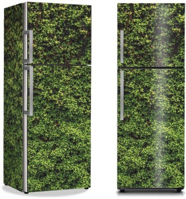 Πράσινη βρύα, Φύση, Αυτοκόλλητα ψυγείου, 50 x 85 εκ. (16899)