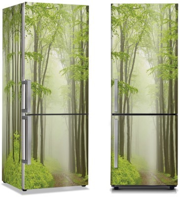 Πράσινα ψηλά δέντρα, Φύση, Αυτοκόλλητα ψυγείου, 50 x 85 εκ.