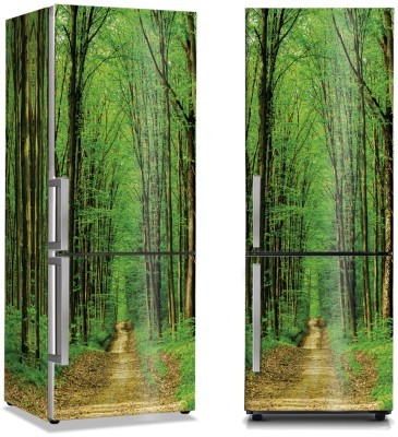 Μονοπάτι στο πυκνό πράσινο δάσος, Φύση, Αυτοκόλλητα ψυγείου, 50 x 85 εκ.