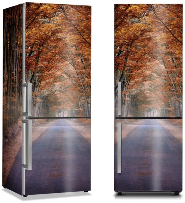 Δρόμος κάτω από τα αποξηραμένα φύλλα, Φύση, Αυτοκόλλητα ψυγείου, 50 x 85 εκ.