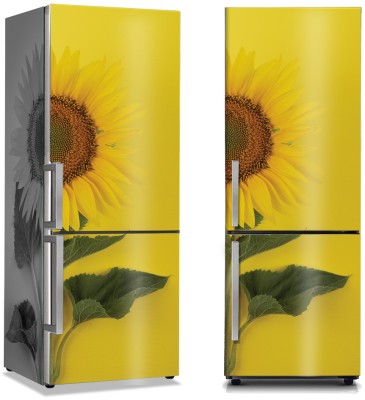 Κίτρινη μαργαρίτα, Φύση, Αυτοκόλλητα ψυγείου, 50 x 85 εκ. (44579)