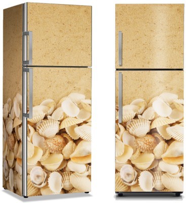 Κοχύλια στην άμμο, Φύση, Αυτοκόλλητα ψυγείου, 50 x 85 εκ.