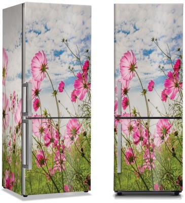 Ροζ λουλούδια στο λιβάδι, Φύση, Αυτοκόλλητα ψυγείου, 50 x 85 εκ.