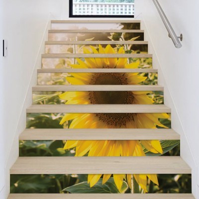 Ηλιοτρόπιο, Φύση, Αυτοκόλλητα σκάλας, 90 x 12 εκ. (54226)