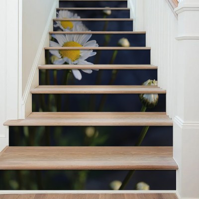 Houseart Λευκές μαργαρίτες, Φύση, Αυτοκόλλητα σκάλας, 90 x 12 εκ.