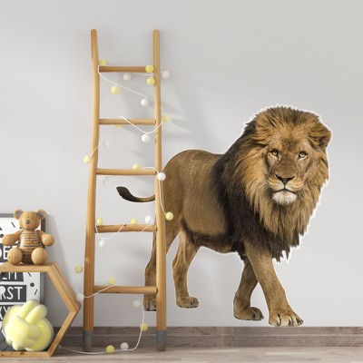 Λιοντάρι, Παιδικά, Αυτοκόλλητα τοίχου, 60 x 60 εκ.