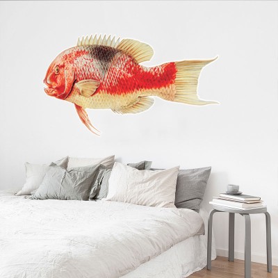 Red fish Ναυτικά Αυτοκόλλητα τοίχου 40 x 80 cm (39251)