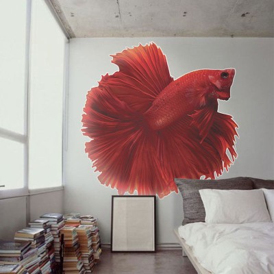 Κόκκινο ψάρι, Ζώα, Αυτοκόλλητα τοίχου, 70 x 70 εκ. (39547)
