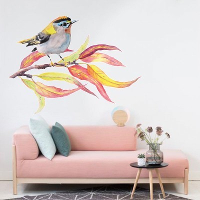 Πολύχρωμο πτηνό, Ζώα, Αυτοκόλλητα τοίχου, 80 x 60 εκ. (39639)