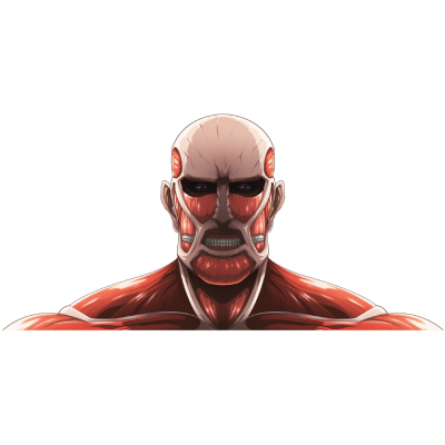 Colossal Titan – Attack on Titan Anime Αυτοκόλλητα τοίχου 50 x 24 εκ. (48462)