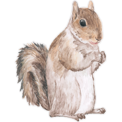 Squirrel, Παιδικά, Αυτοκόλλητα τοίχου, 40 x 54 εκ.