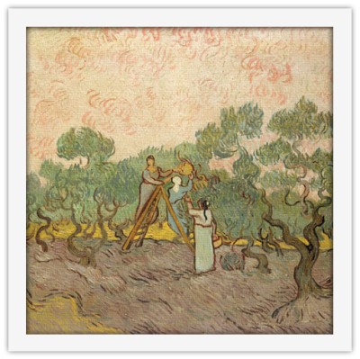 Women Picking Olives Oil on canvas, Vincent van Gogh, Δ