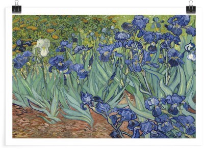 Πίνακες House Art - ΣΗΜΑΝΤΙΚΟ: Σε περίπτωση διαφοράς τιμής από το κατάστημα ισχύει παντα και μόνο η τιμή του καταστήματος Irises (1), Vincent van Gogh, Διάσημοι ζωγράφοι, 20 x 1