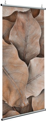 Ξεραμένα φύλλα, Floral, Διαχωριστικά Panel, 120 x 250 εκ.