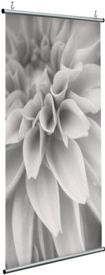 Houseart Μονόχρωμο ντάλια, Floral, Διαχωριστικά Panel, 120 x 250 εκ.