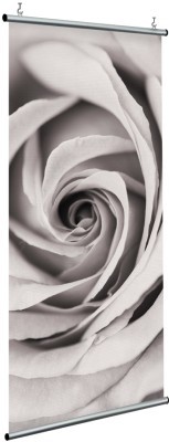 Houseart Γκρίζο τριαντάφυλλο, Floral, Διαχωριστικά Panel, 120 x 250 εκ.