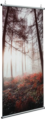 Houseart Λιακάδα στην ομίχλη, Φύση, Διαχωριστικά Panel, 120 x 250 εκ.