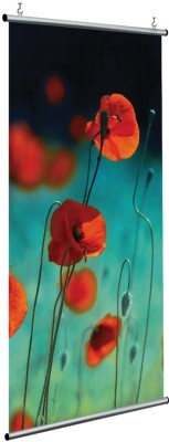 Παπαρούνα, Φύση, Διαχωριστικά Panel, 120 x 250 εκ.