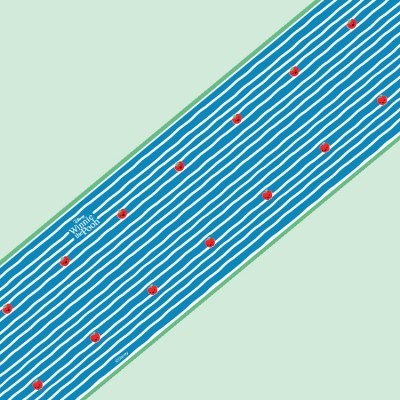 Pattern,Winnie the Pooh, Παιδικές, Μπορντούρες, 150 x 2