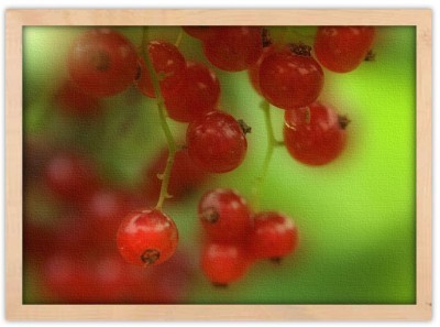 Κατακόκκινα φρέσκα φρούτα Φαγητό Πίνακες σε καμβά 40 x 60 cm (12819)