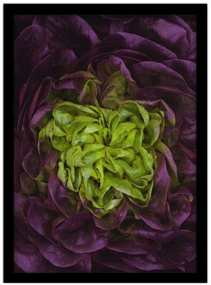 Πράσινα- μώβ λαχανικά Φαγητό Πίνακες σε καμβά 60 x 40 cm (12829)