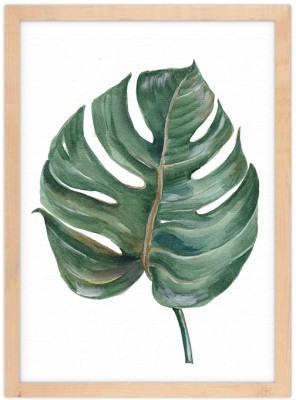 Πράσινο τροπικό φύλλο Φύση Πίνακες σε καμβά 20 x 30 εκ. (44801)