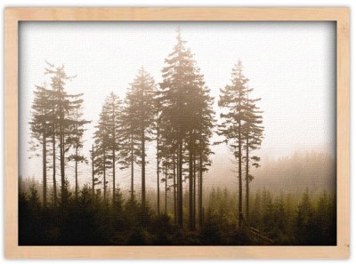 Συστάδα δένδρων Φύση Πίνακες σε καμβά 40 x 60 cm (10259)