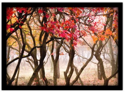 Δάσος το φθινόπωρο Φύση Πίνακες σε καμβά 45 x 60 cm (10260)