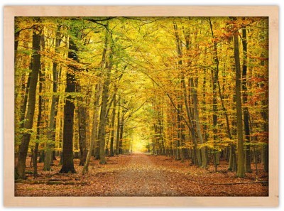 Φθινόπωρο Φύση Πίνακες σε καμβά 46 x 60 cm (12815)