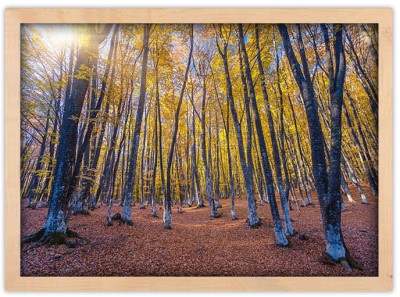 Κίτρινο Δάσος, Φύση, Πίνακες σε καμβά, 20 x 15 εκ.