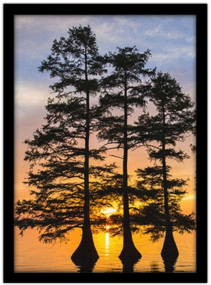 Δέντρα στο ηλιοβασίλεμα, Φύση, Πίνακες σε καμβά, 15 x 20 εκ.