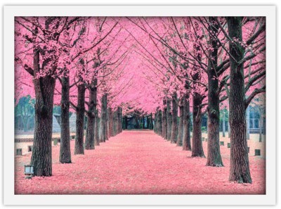 Ροζ δέντρα Φύση Πίνακες σε καμβά 41 x 61 cm (19541)
