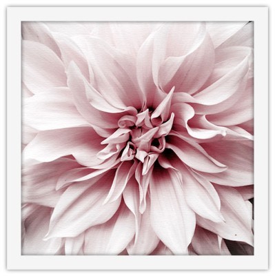Άνθος ροζ λουλουδιού Φύση Πίνακες σε καμβά 40 x 40 εκ. (44805)