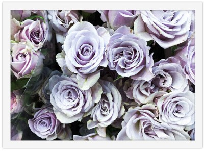 Μοβ τριαντάφυλλα Φύση Πίνακες σε καμβά 30 x 20 εκ. (44814)