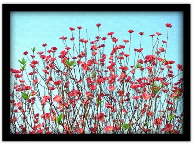 Άνθη ροδακινιάς Φύση Πίνακες σε καμβά 40 x 60 cm (10247)