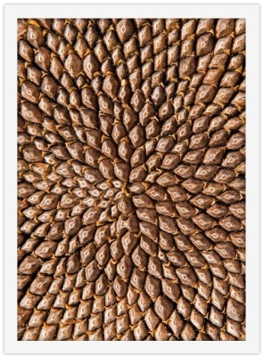 Ανάγλυφο καφέ μοτίβο Φύση Πίνακες σε καμβά 20 x 30 εκ. (44820)