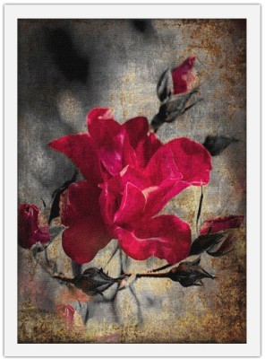 Κατακόκκινο λουλούδι Vintage Πίνακες σε καμβά 54 x 47 cm (15674)