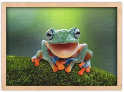 Βατραχάκι Ζώα Πίνακες σε καμβά 40 x 60 cm (37866)