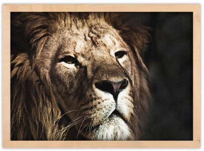 Πρόσωπο λιονταριού Ζώα Πίνακες σε καμβά 40 x 60 cm (12716)