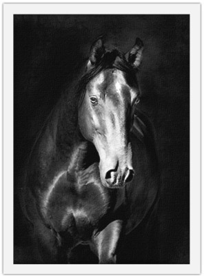 Μαύρο άλογο kladruby, Ζώα, Πίνακες σε καμβά, 15 x 20 εκ