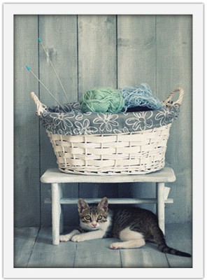 Όμορφο γατάκι, Ζώα, Πίνακες σε καμβά, 15 x 20 εκ.