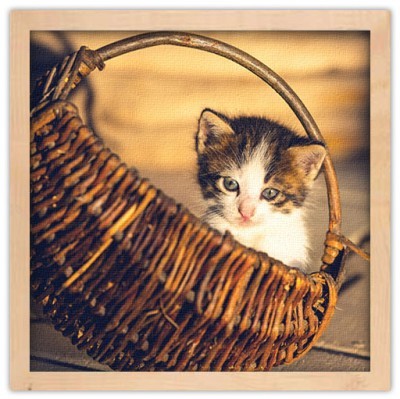 Χαριτωμένο γατάκι μέσα στο καλάθι, Ζώα, Πίνακες σε καμβ