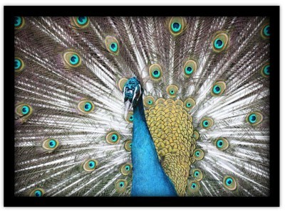 Houseart - ΣΗΜΑΝΤΙΚΟ: Σε περίπτωση διαφοράς τιμής από το κατάστημα ισχύει παντα και μόνο η τιμή του καταστήματος Μπλε παγώνι, Ζώα, Πίνακες σε καμβά, 20 x 15 εκ.