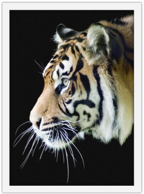 Τίγρης που κοιτάει Ζώα Πίνακες σε καμβά 54 x 45 cm (12735)