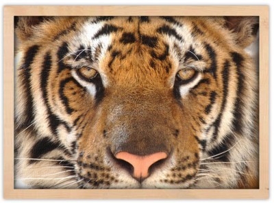 Τα μάτια της τίγρης Ζώα Πίνακες σε καμβά 44 x 60 cm (12726)