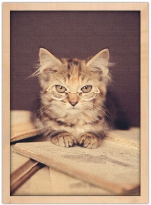 Γατάκι με γυαλιά διαβάζει βιβλίο, Ζώα, Πίνακες σε καμβά