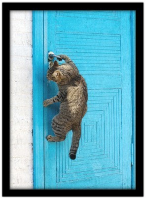 Γάτα ανοίγει την πόρτα Ζώα Πίνακες σε καμβά 61 x 40 cm (10321)