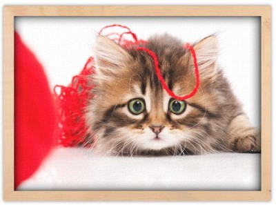 Γατάκι Σιβηρίας με κόκκινο κουβάρι, Ζώα, Πίνακες σε καμ