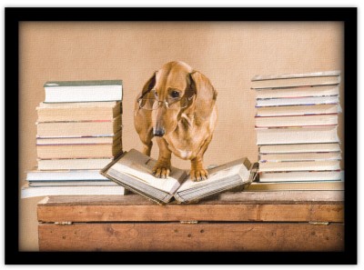 Σκύλος πάνω σε βιβλίο Ζώα Πίνακες σε καμβά 42 x 62 cm (12718)